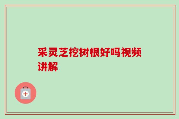 采灵芝挖树根好吗视频讲解