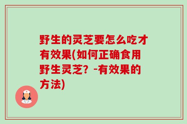 野生的灵芝要怎么吃才有效果(如何正确食用野生灵芝?-有效果的方法) 野生的灵芝要怎么吃才有效果(如何正确食用野生灵芝?-有效果的方法)