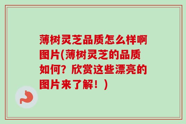 薄树灵芝品质怎么样啊图片(薄树灵芝的品质如何?欣赏这些漂亮的图片来了解!) 薄树灵芝品质怎么样啊图片(薄树灵芝的品质如何?欣赏这些漂亮的图片来了解!)