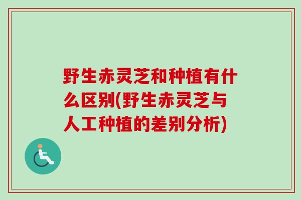野生赤灵芝和种植有什么区别(野生赤灵芝与人工种植的差别分析) 野生赤灵芝和种植有什么区别(野生赤灵芝与人工种植的差别分析)