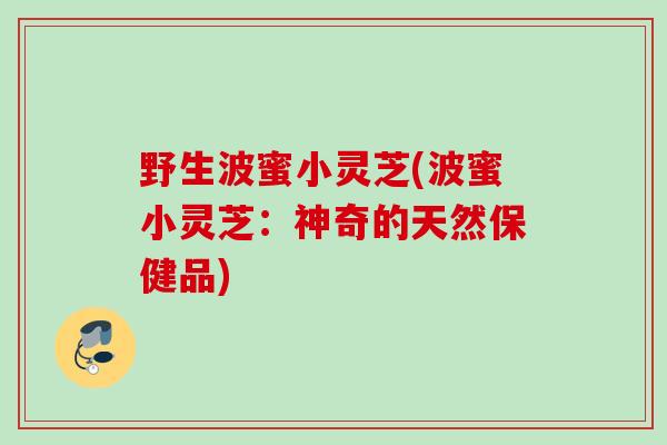 野生波蜜小灵芝(波蜜小灵芝:神奇的天然保健品) 野生波蜜小灵芝(波蜜小灵芝:神奇的天然保健品)
