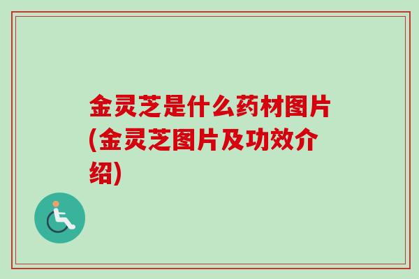 金灵芝是什么药材图片(金灵芝图片及功效介绍) 金灵芝是什么药材图片(金灵芝图片及功效介绍)