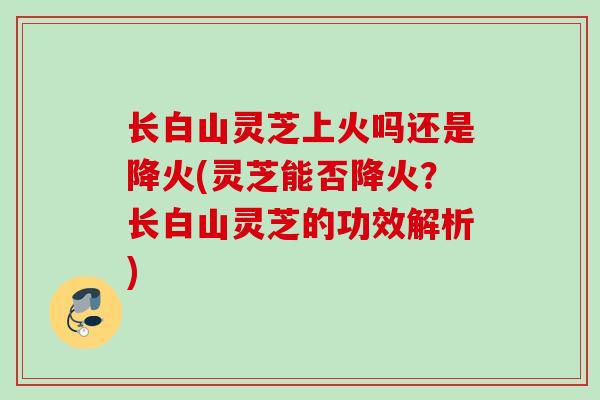 长白山灵芝上火吗还是降火(灵芝能否降火?长白山灵芝的功效解析) 长白山灵芝上火吗还是降火(灵芝能否降火?长白山灵芝的功效解析)