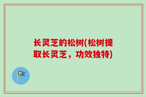 长灵芝的松树(松树提取长灵芝，功效独特)