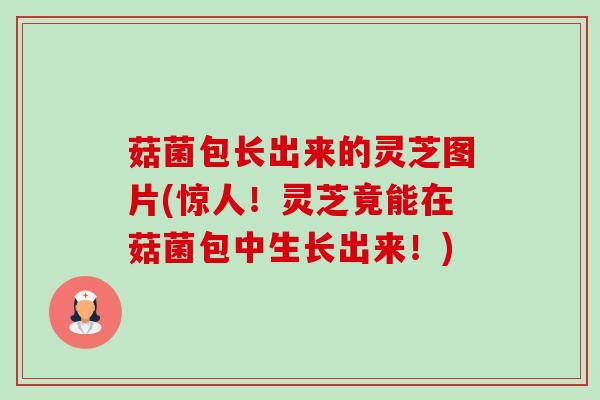 菇菌包长出来的灵芝图片(惊人!灵芝竟能在菇菌包中生长出来!) 菇菌包长出来的灵芝图片(惊人!灵芝竟能在菇菌包中生长出来!)