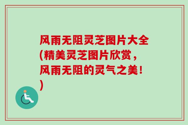 风雨无阻灵芝图片大全(精美灵芝图片欣赏，风雨无阻的灵气之美！)