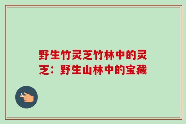 野生竹灵芝竹林中的灵芝:野生山林中的宝藏 野生竹灵芝竹林中的灵芝:野生山林中的宝藏