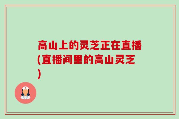 高山上的灵芝正在直播(直播间里的高山灵芝)