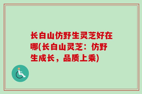 长白山仿野生灵芝好在哪(长白山灵芝:仿野生成长,品质上乘) 长白山仿野生灵芝好在哪(长白山灵芝:仿野生成长,品质上乘)