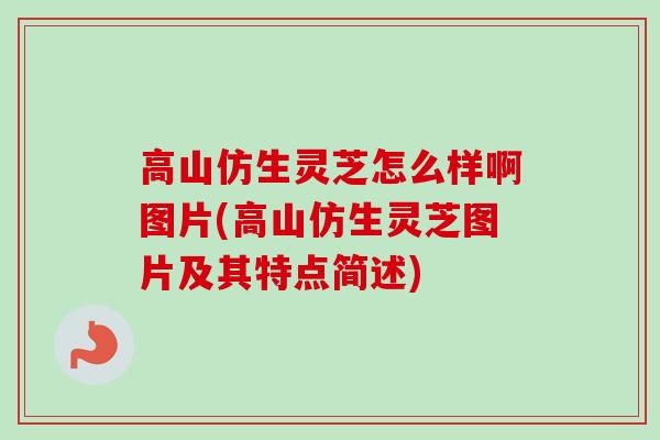 高山仿生灵芝怎么样啊图片(高山仿生灵芝图片及其特点简述) 高山仿生灵芝怎么样啊图片(高山仿生灵芝图片及其特点简述)