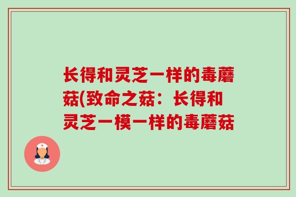 长得和灵芝一样的毒蘑菇(致命之菇:长得和灵芝一模一样的毒蘑菇 长得和灵芝一样的毒蘑菇(致命之菇:长得和灵芝一模一样的毒蘑菇