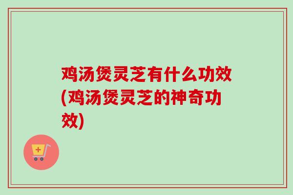 鸡汤煲灵芝有什么功效(鸡汤煲灵芝的神奇功效)