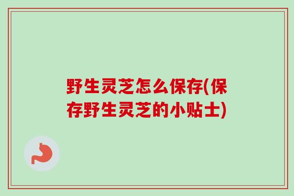 野生灵芝怎么保存(保存野生灵芝的小贴士)