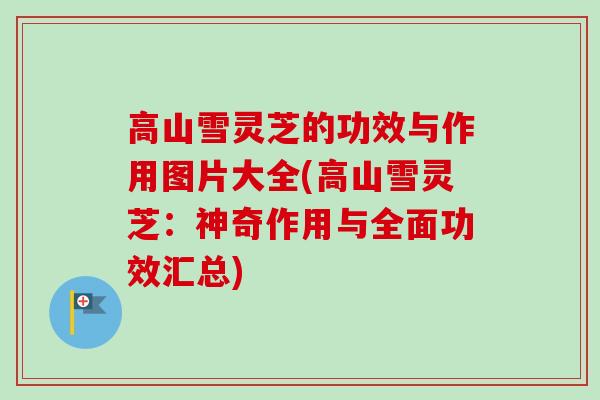 高山雪灵芝的功效与作用图片大全(高山雪灵芝：神奇作用与全面功效汇总)