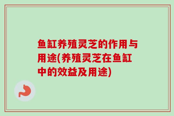 鱼缸养殖灵芝的作用与用途(养殖灵芝在鱼缸中的效益及用途) 鱼缸养殖灵芝的作用与用途(养殖灵芝在鱼缸中的效益及用途)