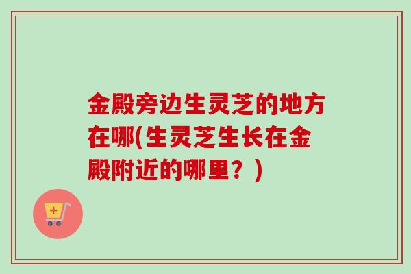 金殿旁边生灵芝的地方在哪(生灵芝生长在金殿附近的哪里?) 金殿旁边生灵芝的地方在哪(生灵芝生长在金殿附近的哪里?)