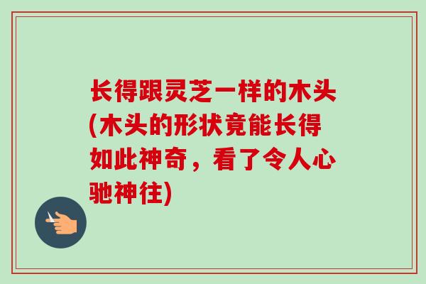 长得跟灵芝一样的木头(木头的形状竟能长得如此神奇,看了令人心驰神往) 长得跟灵芝一样的木头(木头的形状竟能长得如此神奇,看了令人心驰神往)