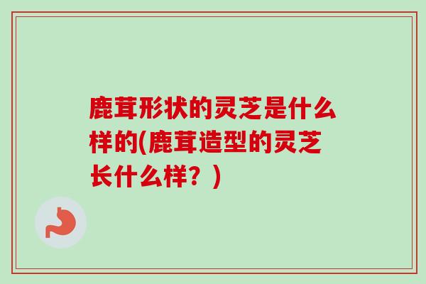 鹿茸形状的灵芝是什么样的(鹿茸造型的灵芝长什么样?) 鹿茸形状的灵芝是什么样的(鹿茸造型的灵芝长什么样?)