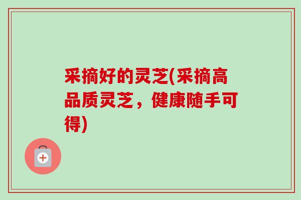 采摘好的灵芝(采摘高品质灵芝,健康随手可得) 采摘好的灵芝(采摘高品质灵芝,健康随手可得)