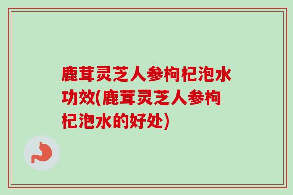 鹿茸灵芝人参枸杞泡水功效(鹿茸灵芝人参枸杞泡水的好处) 鹿茸灵芝人参枸杞泡水功效(鹿茸灵芝人参枸杞泡水的好处)