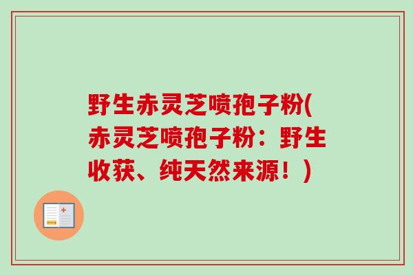 野生赤灵芝喷孢子粉(赤灵芝喷孢子粉:野生收获、纯天然来源!) 野生赤灵芝喷孢子粉(赤灵芝喷孢子粉:野生收获、纯天然来源!)