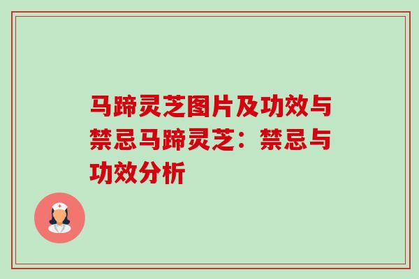 马蹄灵芝图片及功效与禁忌马蹄灵芝：禁忌与功效分析