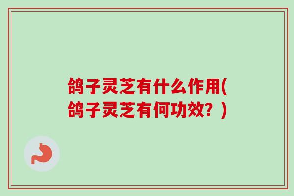 鸽子灵芝有什么作用(鸽子灵芝有何功效？)