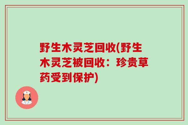 野生木灵芝回收(野生木灵芝被回收:珍贵草药受到保护) 野生木灵芝回收(野生木灵芝被回收:珍贵草药受到保护)