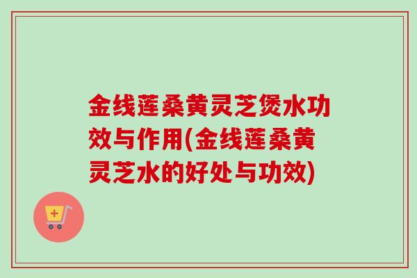 金线莲桑黄灵芝煲水功效与作用(金线莲桑黄灵芝水的好处与功效) 金线莲桑黄灵芝煲水功效与作用(金线莲桑黄灵芝水的好处与功效)