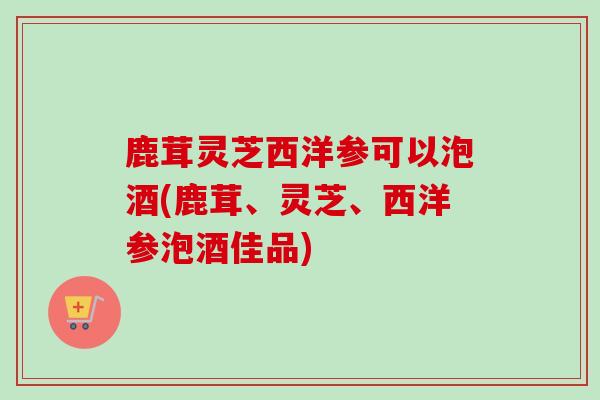 鹿茸灵芝西洋参可以泡酒(鹿茸、灵芝、西洋参泡酒佳品) 鹿茸灵芝西洋参可以泡酒(鹿茸、灵芝、西洋参泡酒佳品)