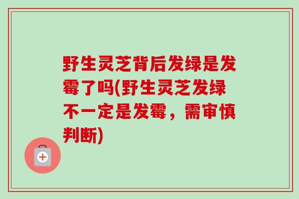 野生灵芝背后发绿是发霉了吗(野生灵芝发绿不一定是发霉,需审慎判断) 野生灵芝背后发绿是发霉了吗(野生灵芝发绿不一定是发霉,需审慎判断)