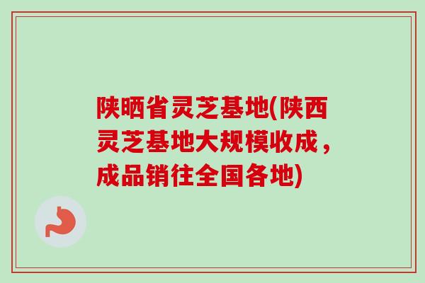 陕晒省灵芝基地(陕西灵芝基地大规模收成，成品销往全国各地)