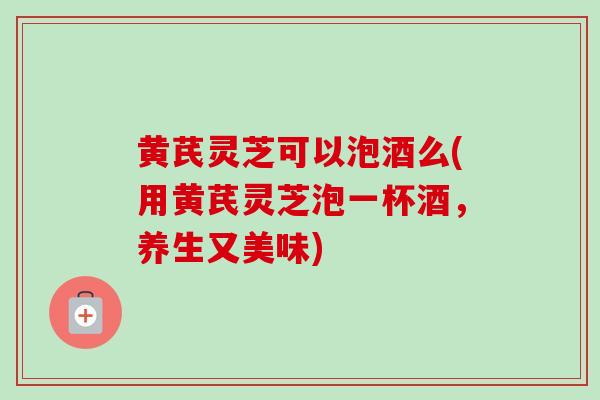 黄芪灵芝可以泡酒么(用黄芪灵芝泡一杯酒,养生又美味) 黄芪灵芝可以泡酒么(用黄芪灵芝泡一杯酒,养生又美味)