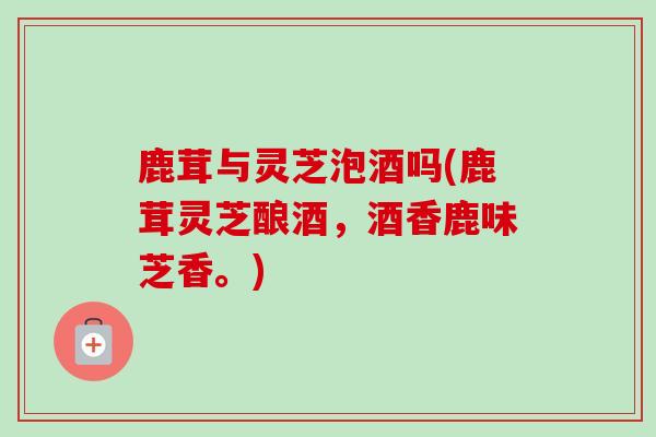 鹿茸与灵芝泡酒吗(鹿茸灵芝酿酒,酒香鹿味芝香。) 鹿茸与灵芝泡酒吗(鹿茸灵芝酿酒,酒香鹿味芝香。)