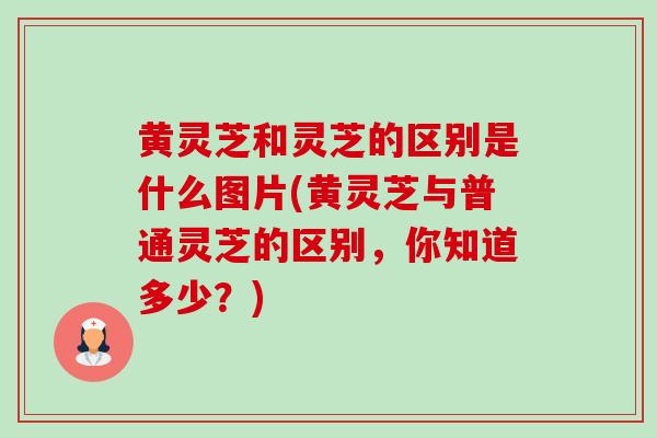 黄灵芝和灵芝的区别是什么图片(黄灵芝与普通灵芝的区别,你知道多少?) 黄灵芝和灵芝的区别是什么图片(黄灵芝与普通灵芝的区别,你知道多少?)