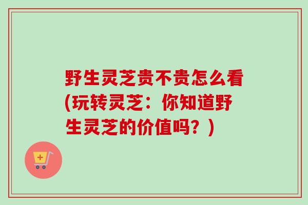 野生灵芝贵不贵怎么看(玩转灵芝:你知道野生灵芝的价值吗?) 野生灵芝贵不贵怎么看(玩转灵芝:你知道野生灵芝的价值吗?)