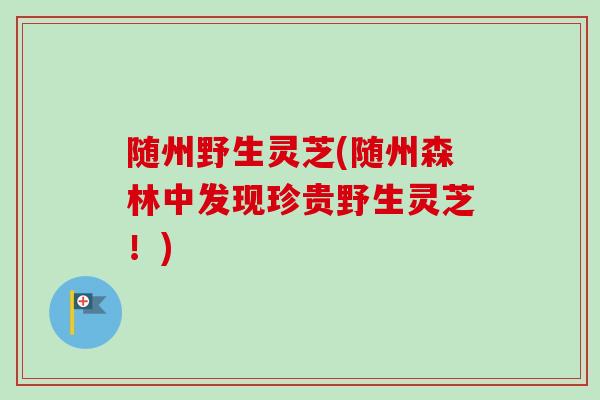 随州野生灵芝(随州森林中发现珍贵野生灵芝!) 随州野生灵芝(随州森林中发现珍贵野生灵芝!)