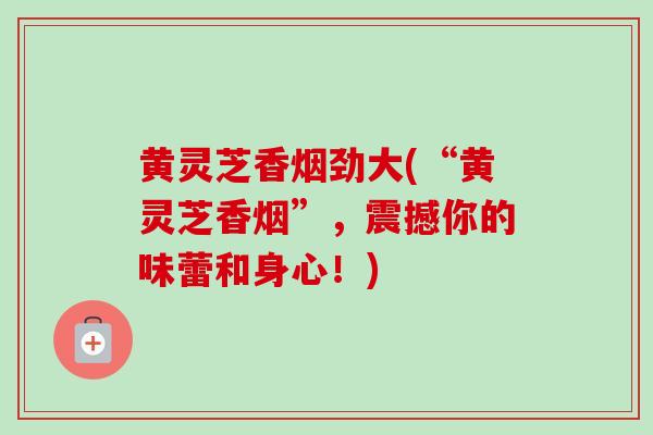 黄灵芝香烟劲大(“黄灵芝香烟”，震撼你的味蕾和身心！)