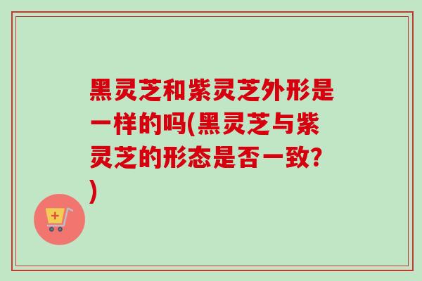 黑灵芝和紫灵芝外形是一样的吗(黑灵芝与紫灵芝的形态是否一致？)