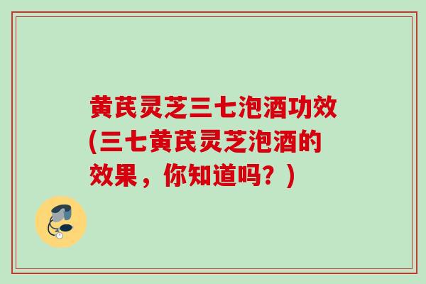 黄芪灵芝三七泡酒功效(三七黄芪灵芝泡酒的效果,你知道吗?) 黄芪灵芝三七泡酒功效(三七黄芪灵芝泡酒的效果,你知道吗?)