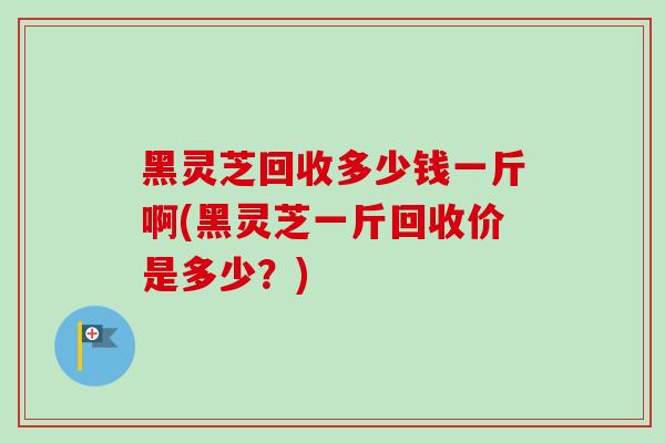 黑灵芝回收多少钱一斤啊(黑灵芝一斤回收价是多少？)