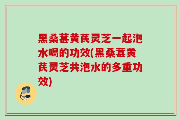 黑桑葚黄芪灵芝一起泡水喝的功效(黑桑葚黄芪灵芝共泡水的多重功效) 黑桑葚黄芪灵芝一起泡水喝的功效(黑桑葚黄芪灵芝共泡水的多重功效)