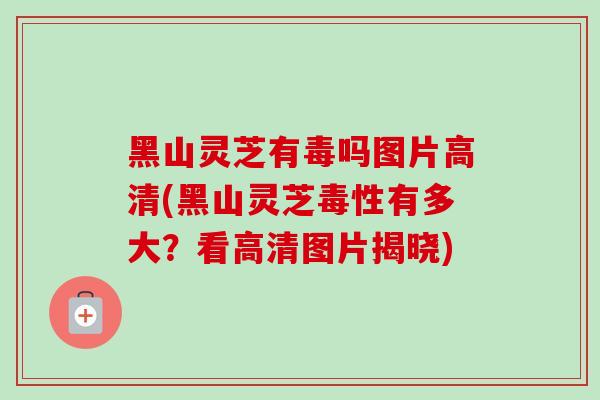 黑山灵芝有毒吗图片高清(黑山灵芝毒性有多大？看高清图片揭晓)