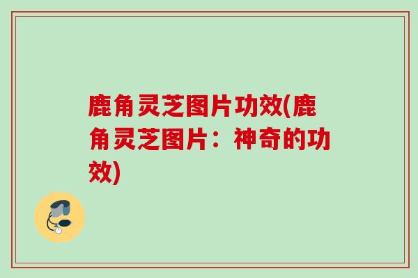 鹿角灵芝图片功效(鹿角灵芝图片:神奇的功效) 鹿角灵芝图片功效(鹿角灵芝图片:神奇的功效)
