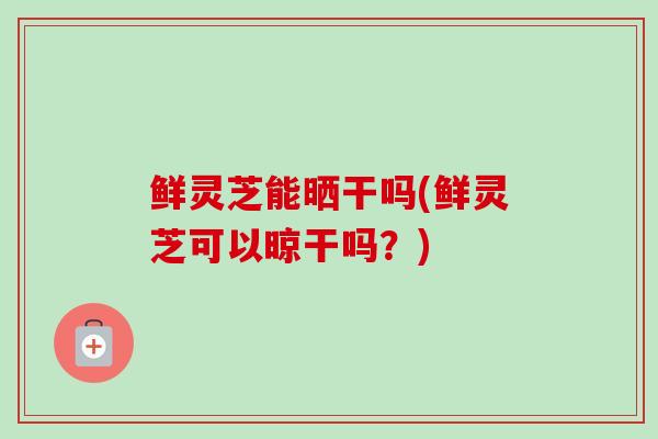 鲜灵芝能晒干吗(鲜灵芝可以晾干吗？)