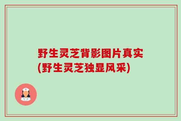 野生灵芝背影图片真实(野生灵芝独显风采) 野生灵芝背影图片真实(野生灵芝独显风采)