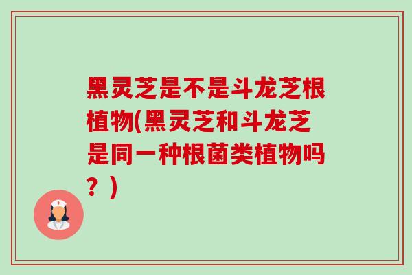 黑灵芝是不是斗龙芝根植物(黑灵芝和斗龙芝是同一种根菌类植物吗?) 黑灵芝是不是斗龙芝根植物(黑灵芝和斗龙芝是同一种根菌类植物吗?)