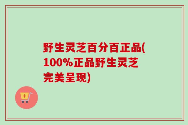 野生灵芝百分百正品(100%正品野生灵芝完美呈现)