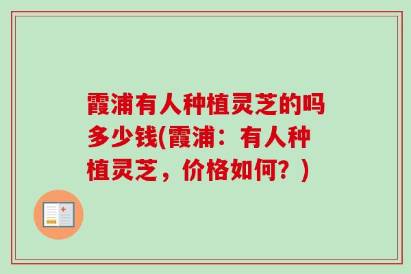 霞浦有人种植灵芝的吗多少钱(霞浦：有人种植灵芝，价格如何？)
