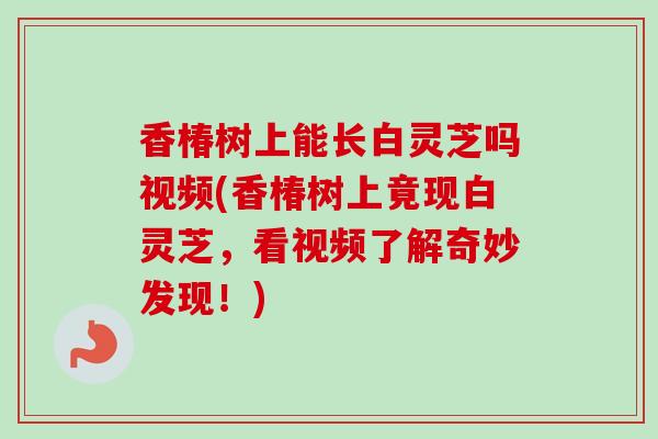 香椿树上能长白灵芝吗视频(香椿树上竟现白灵芝，看视频了解奇妙发现！)